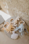BABY RASSEL MIT HOLZRING 'SEASHELL'