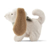 Motorischer Hund - Dev Dog Motoric Teddy